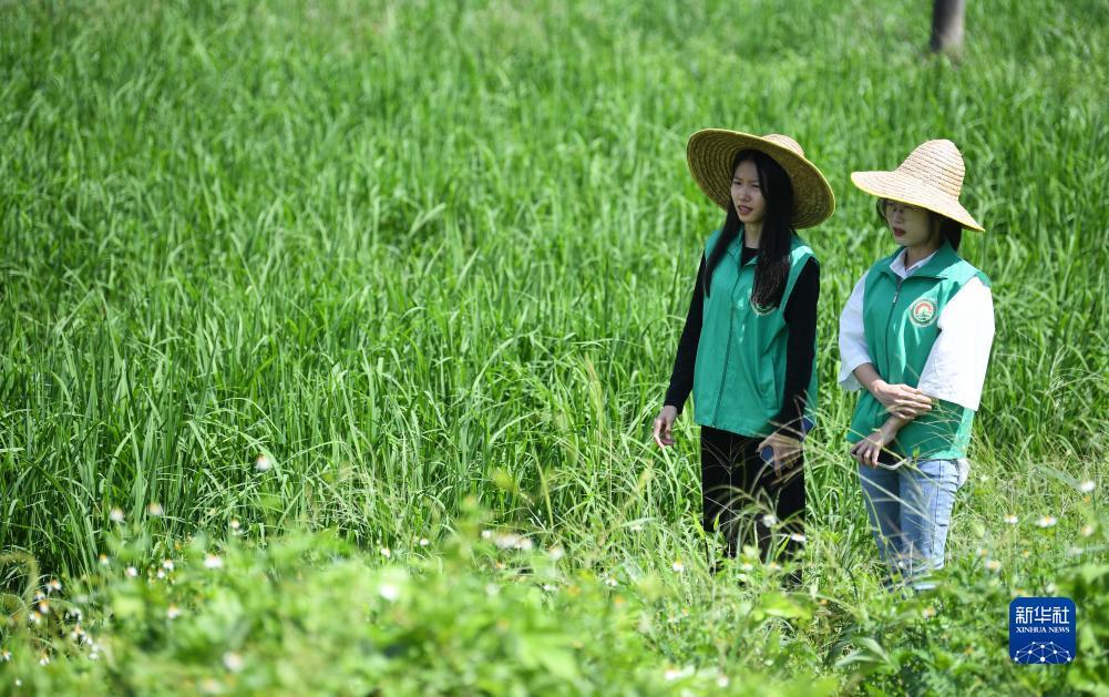世爵登录地址6